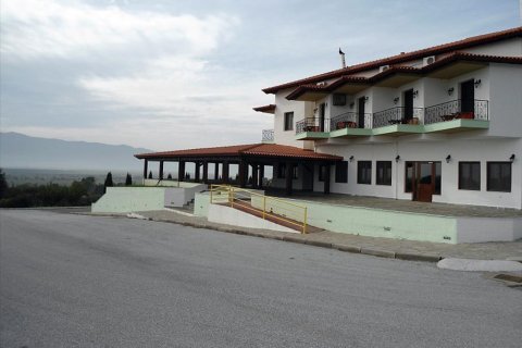 1688m² Hotel in Serres, Greece No. 60049 29