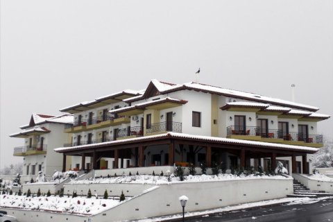 1688m² Hotel in Serres, Greece No. 60049 4