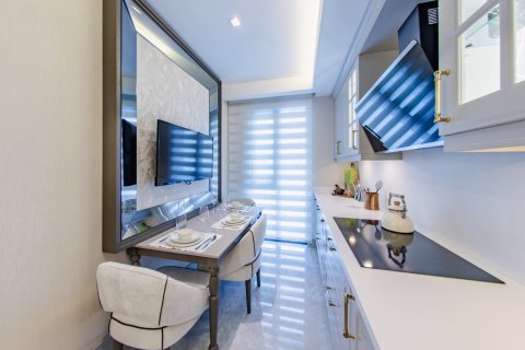 4+1 Apartment in Istanbul, Turkey No. 15759 6