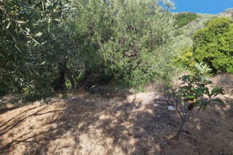 8600m² Land in Corfu, Greece No. 55881 6