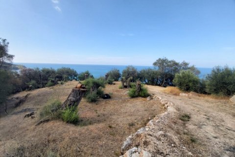 8600m² Land à Corfu, Greece No. 55881 16