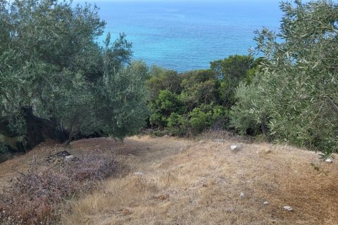 8600m² Land en Corfu, Greece No. 55881 14