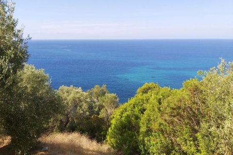 8600m² Land en Corfu, Greece No. 55881 1