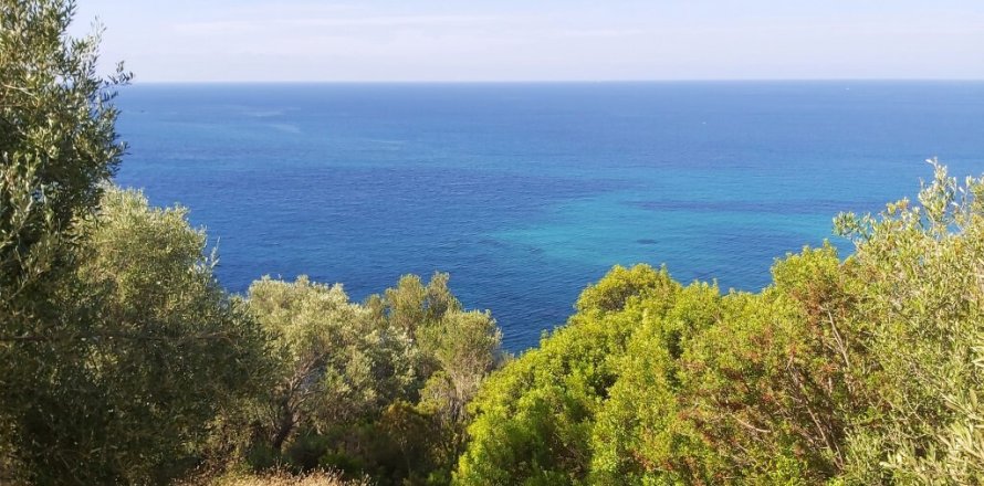 8600m² Land in Corfu, Greece No. 55881