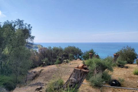 8600m² Land in Corfu, Greece No. 55881 17