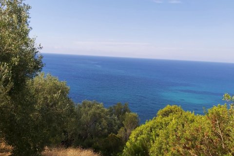 8600m² Land à Corfu, Greece No. 55881 2