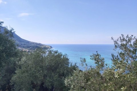 8600m² Land in Corfu, Greece No. 55881 15