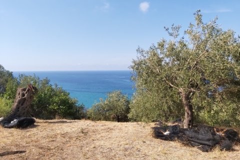 8600m² Land à Corfu, Greece No. 55881 3