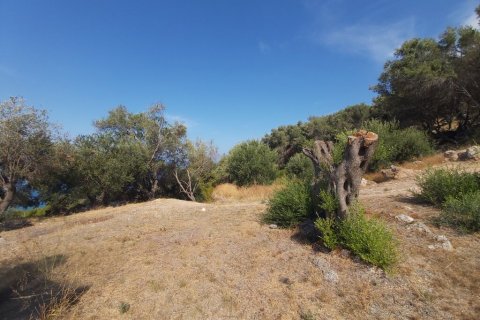 8600m² Land à Corfu, Greece No. 55881 7