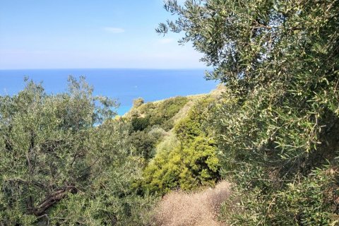 8600m² Land en Corfu, Greece No. 55881 13