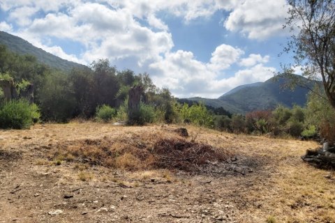 8600m² Land à Corfu, Greece No. 55881 12