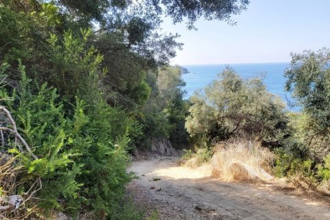 8600m² Land à Corfu, Greece No. 55881 10