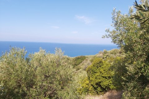 8600m² Land in Corfu, Greece No. 55881 5