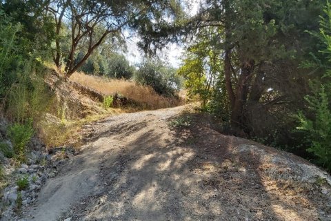 8600m² Land en Corfu, Greece No. 55881 8