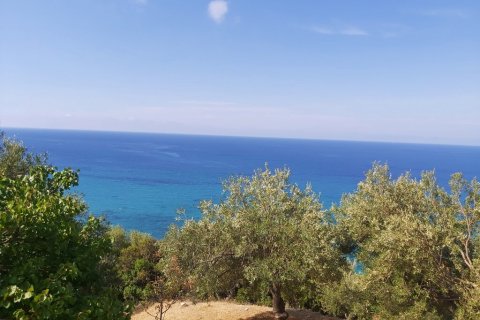 8600m² Land à Corfu, Greece No. 55881 4