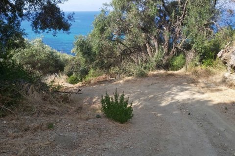 8600m² Land in Corfu, Greece No. 55881 9