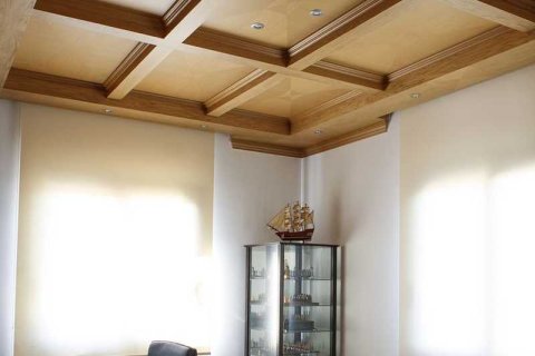 5 bedrooms House in Agioi Trimithias, Cyprus No. 78004 6