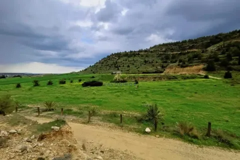 14048m² Land in Oroklini, Cyprus No. 36188 1