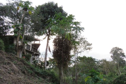 10 chambres House à Chiang Mai, Thailand No. 1304 11