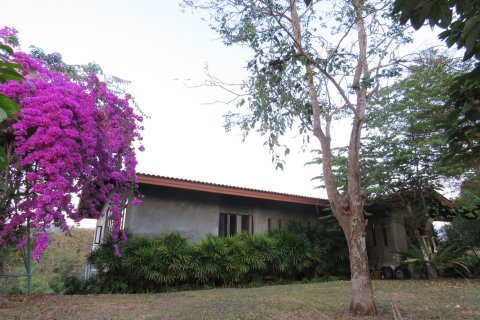 10 chambres House à Chiang Mai, Thailand No. 1304 13