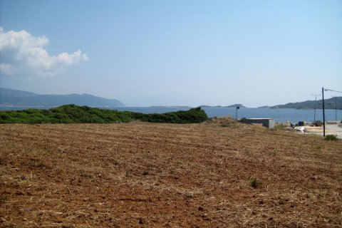 1400m² Land in Chalkidiki, Greece No. 60307 2