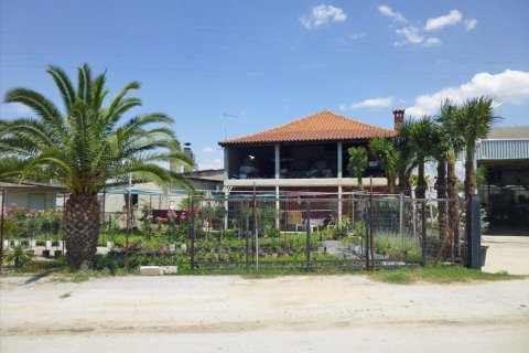 4800m² Negocio en Pieria, Greece No. 60311 2