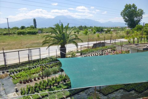 4800m² Negocio en Pieria, Greece No. 60311 14