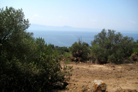 7000m² Land in Chalkidiki, Greece No. 60306 2