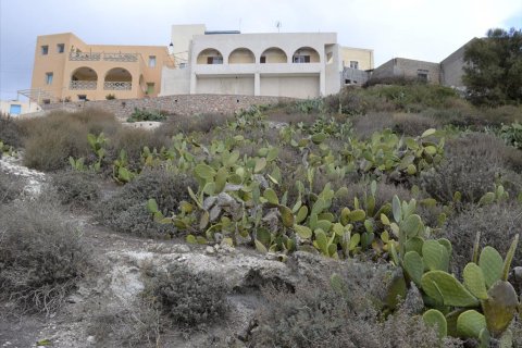 2000m² Land à Naxos, Greece No. 59320 8