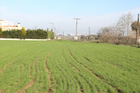 4500m² Land in Thessaloniki, Greece No. 60541 4