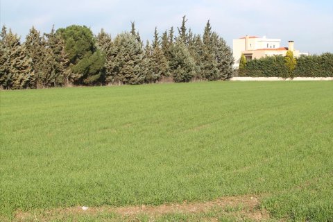 4500m² Land en Thessaloniki, Greece No. 60541 1