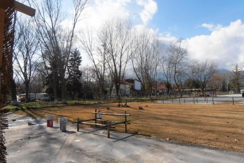 11000m² Business in Dion, Greece No. 60538 7