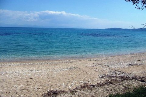 108000m² Land in Corfu, Greece No. 60540 3