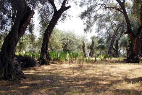 108000m² Land in Corfu, Greece No. 60540 10