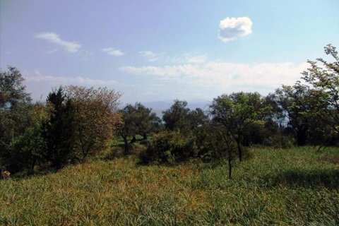 108000m² Land in Corfu, Greece No. 60540 7