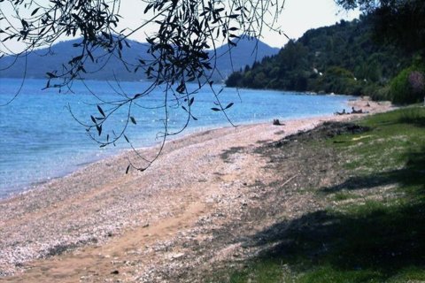 108000m² Land à Corfu, Greece No. 60540 2