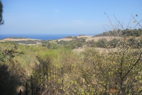 4000m² Land en Chalkidiki, Greece No. 60542 2