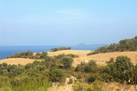 4000m² Land en Chalkidiki, Greece No. 60542 1