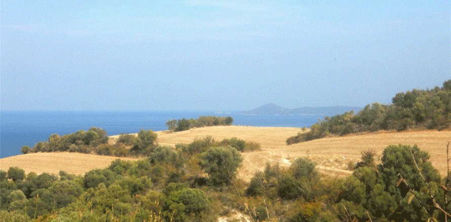 4000m² Land in Chalkidiki, Greece No. 60542