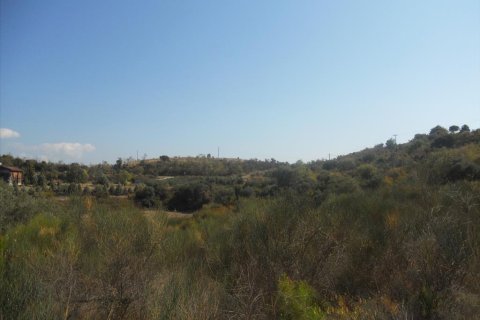 4000m² Land en Chalkidiki, Greece No. 60542 4