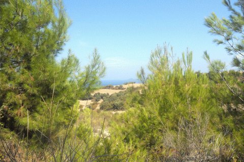 4000m² Land in Chalkidiki, Greece No. 60542 3