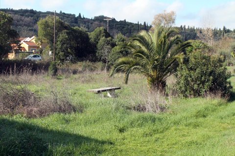 6000m² Land in Corfu, Greece No. 60537 13