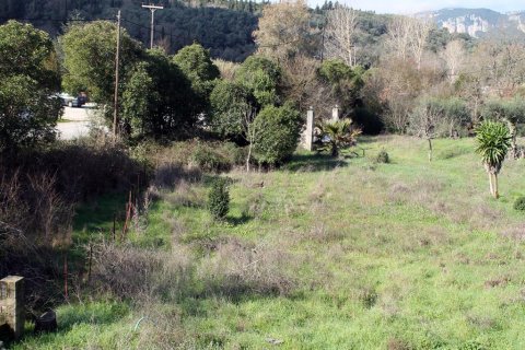 6000m² Land in Corfu, Greece No. 60537 8