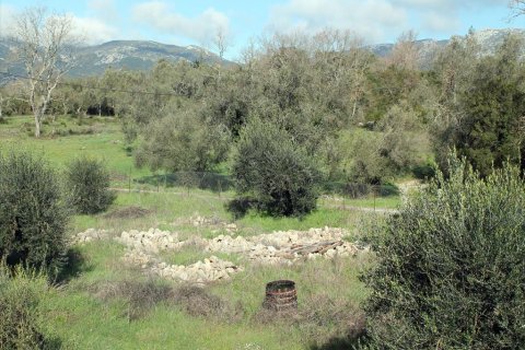 6000m² Land à Corfu, Greece No. 60537 11