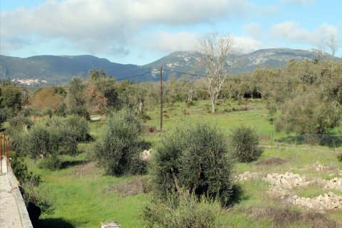 6000m² Land à Corfu, Greece No. 60537 10