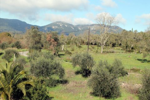 6000m² Land in Corfu, Greece No. 60537 1