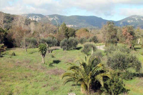 6000m² Land in Corfu, Greece No. 60537 7