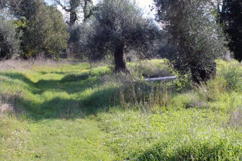 6000m² Land en Corfu, Greece No. 60537 12