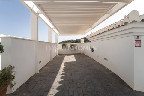 3 bedrooms Villa in Almunecar, Spain No. 26269 18