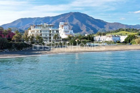 2 dormitorios Apartment en Estepona, Spain No. 26341 18